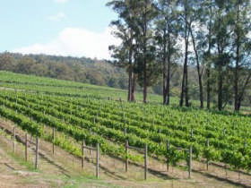 Piedmont Vineyard - Accommodation Fremantle 0