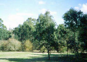 Sweeneys Flat - Accommodation Fremantle 0