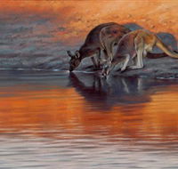Steve Morvell Wildlife Art - Accommodation Fremantle