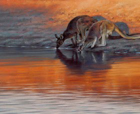 Steve Morvell Wildlife Art - Accommodation Fremantle 0
