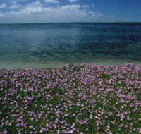 The Lakes National Park - Accommodation Fremantle