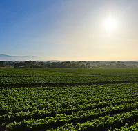 GREENSTONE VINEYARDS - Accommodation Fremantle