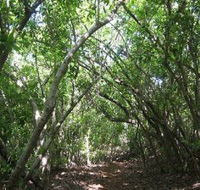 Eucalypt Trail - Accommodation Fremantle