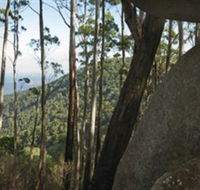 Gulaga National Park - Accommodation Fremantle