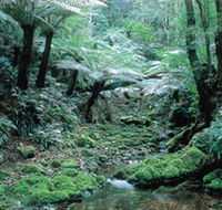 Deua National Park - Accommodation Fremantle