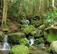 Budderoo National Park - Accommodation Fremantle
