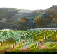 Tilba Valley Wines - Accommodation Fremantle