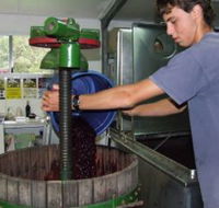 Fern Gully Winery - Accommodation Fremantle