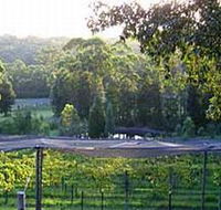Lyrebird Ridge Organic Winery - Accommodation Fremantle