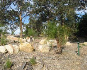 Curtis Park Arboretum - Accommodation Fremantle 0