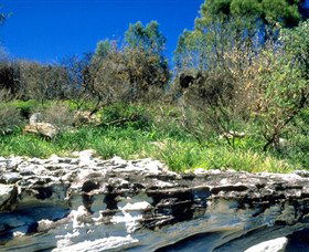 Abrahams Bosom Reserve - Accommodation Fremantle 0
