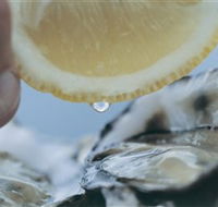 Pearly Oyster Bar and Farm - Accommodation Fremantle