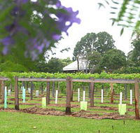 Douglas Vale Historic Homestead  Vineyard - Accommodation Fremantle
