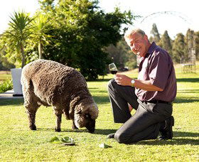 Moorebank Private Vineyard - Accommodation Fremantle 2