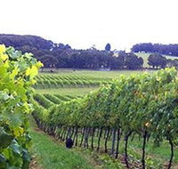 Banjo's Run Winery and Vineyard - Accommodation Fremantle