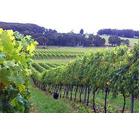 Banjo's Run Winery And Vineyard - Accommodation Fremantle 0