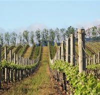 Philip Shaw Wines - Accommodation Fremantle