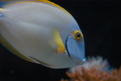 Solitary Islands Aquarium - Accommodation Fremantle 3