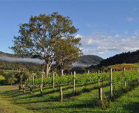 Sarabah Estate Vineyard - Accommodation Fremantle 1