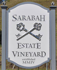 Sarabah Estate Vineyard - Accommodation Fremantle 3