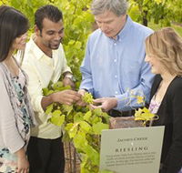 Jacob's Creek Vineyard Tour - Accommodation Fremantle