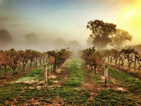 Lambert Estate Wines - Accommodation Fremantle 1