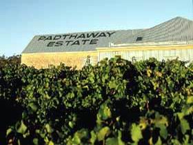 Padthaway Estate Winery - Accommodation Fremantle 0