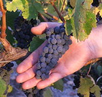 Eagles Rise Wine - Accommodation Fremantle