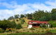 St Imre Vineyard - thumb 0