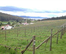 St Imre Vineyard - Accommodation Fremantle 1