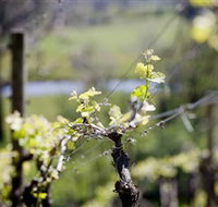 Barrgowan Vineyard - Accommodation Fremantle