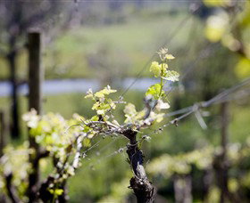 Barrgowan Vineyard - Accommodation Fremantle 0
