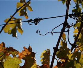 Blackjack Vineyards - Accommodation Fremantle 1