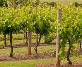 Coghills Creek VIC Accommodation Fremantle