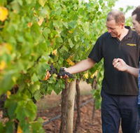 Fratin Brothers Vineyard - Accommodation Fremantle