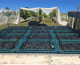 Three Willows Vineyard - Accommodation Fremantle 1