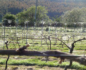 Three Willows Vineyard - Accommodation Fremantle 0
