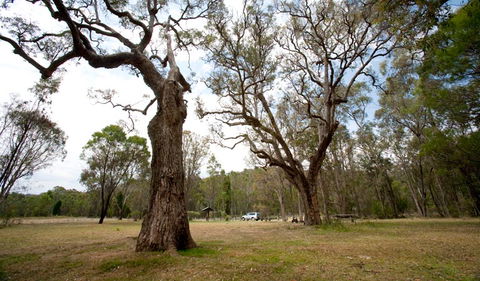 Munghorn Gap Nature Reserve - Accommodation Fremantle 3