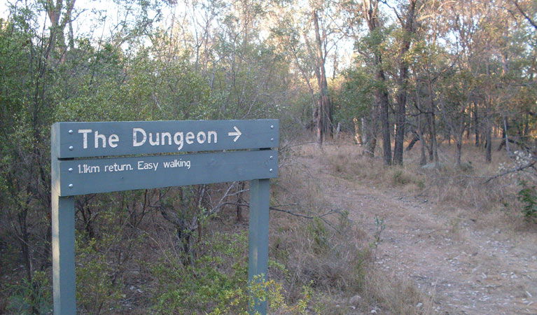 Ashford NSW Accommodation Fremantle