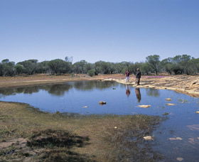 Camel Soak - Accommodation Fremantle 0