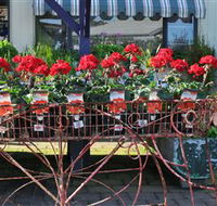 Van Loon's Nursery - Accommodation Fremantle