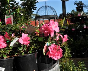 Van Loon's Nursery - Accommodation Fremantle 1