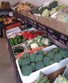 Farmers Harvest - Accommodation Fremantle 1