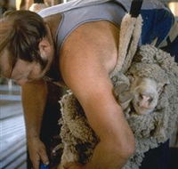 Kuriong Sheep Station - Accommodation Fremantle