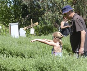 Hedgend Maze And Healesville Laser Sport - Accommodation Fremantle 2