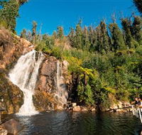 Steavenson Falls Marysville - Accommodation Fremantle