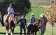 Bathurst Farm Experience - thumb 0
