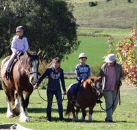 Bathurst Farm Experience - Accommodation Fremantle