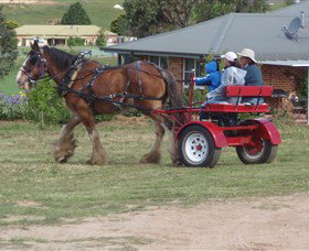 Bathurst Farm Experience - Accommodation Fremantle 3