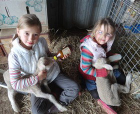 Bathurst Farm Experience - Accommodation Fremantle 4